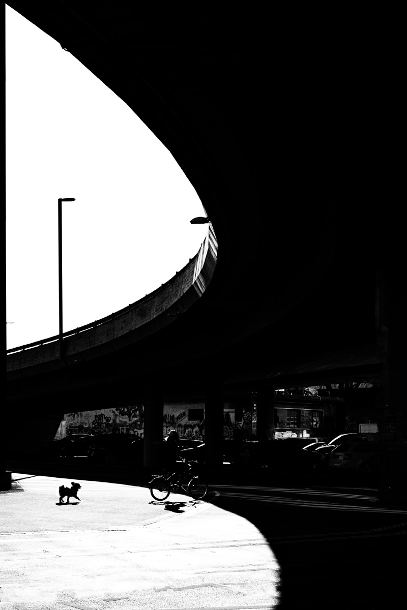 streetphotography Favorites